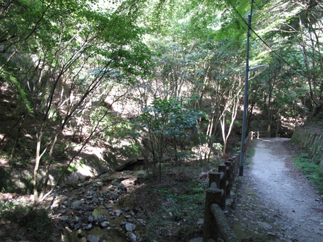 20140922hike (348)